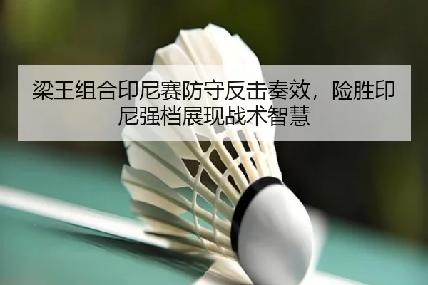 liang-wang-zu-he-yin-ni-sai-fang-shou-fan-ji-zou-xiao-xian-sheng-yin-ni-qiang-dang-zhan-xian-zhan-shu-zhi-hui-2-355.jpg