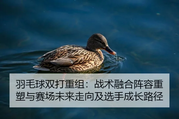 羽毛球双打重组：战术融合阵容重塑与赛场未来走向及选手成长路径