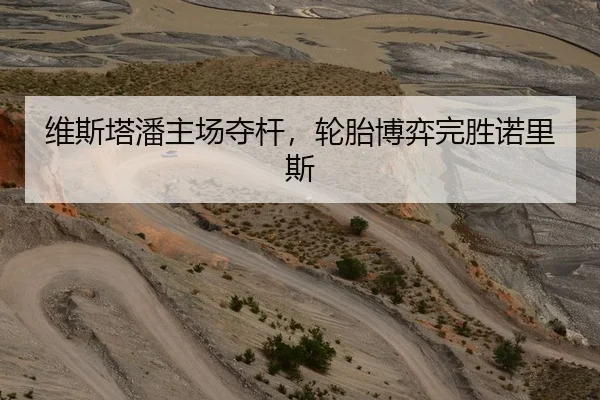 维斯塔潘主场夺杆，轮胎博弈完胜诺里斯