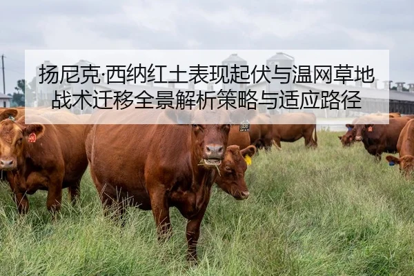 扬尼克·西纳红土表现起伏与温网草地战术迁移全景解析策略与适应路径