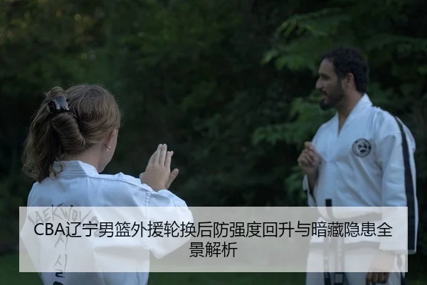 liao-ning-nan-lan-wai-yuan-lun-huan-hou-fang-qiang-du-hui-sheng-yu-an-cang-yin-huan-quan-jing-jie-xi-2-582.jpg